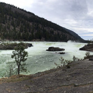 Meet your Posher, Mason